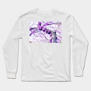 Chinese Redbud In Bloom Long Sleeve T-Shirt